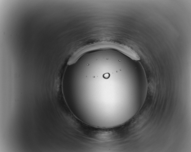 X0000090420458200707201121