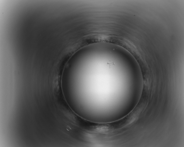 X0000090420462200707201121