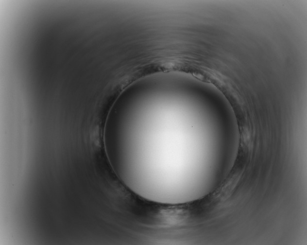 X0000090420470200707201121