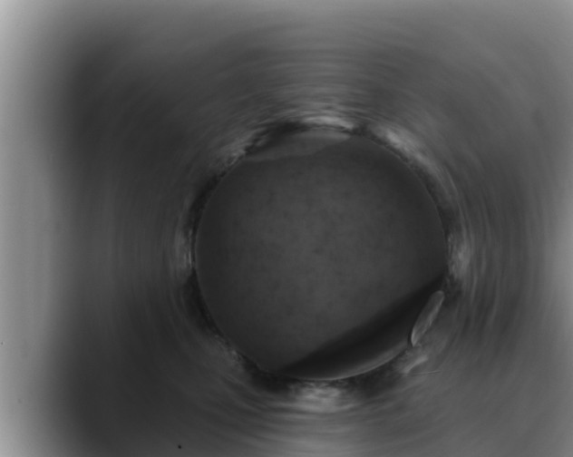 X0000090420471200707201121