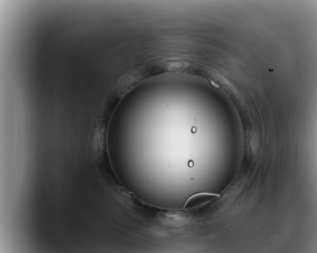 X0000090420475200707201121