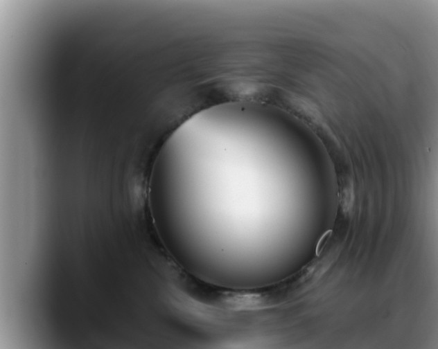 X0000090420476200707201121