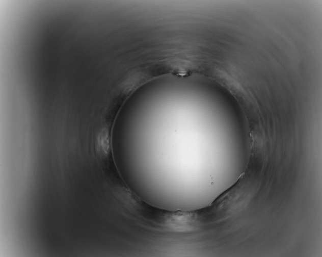 X0000090420479200707201121