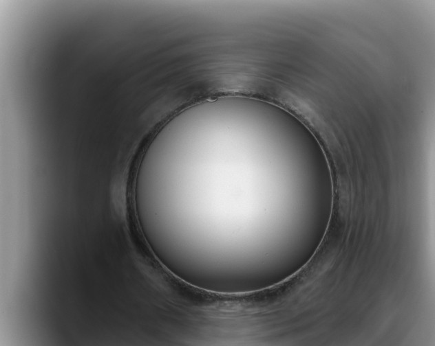 X0000090420482200707201121