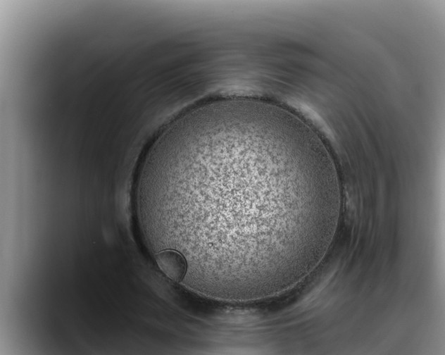 X0000090420487200707201121