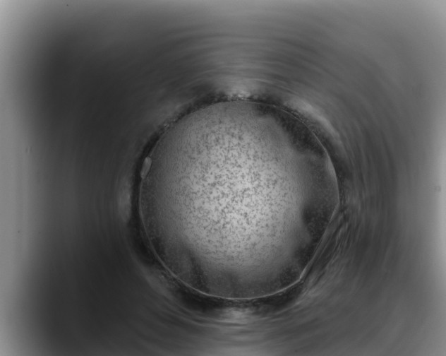 X0000090420496200707201121