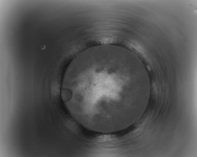 X0000090420499200707201121