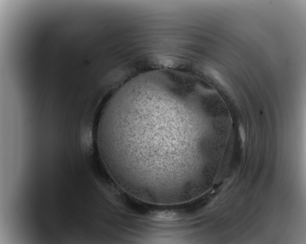 X0000090420500200707201121