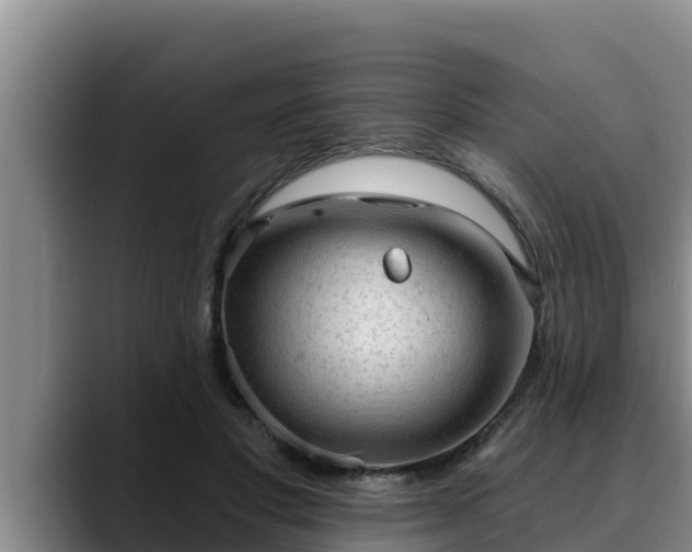 X0000090420501200707201121