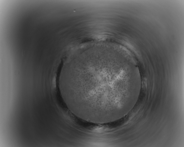 X0000090420504200707201121