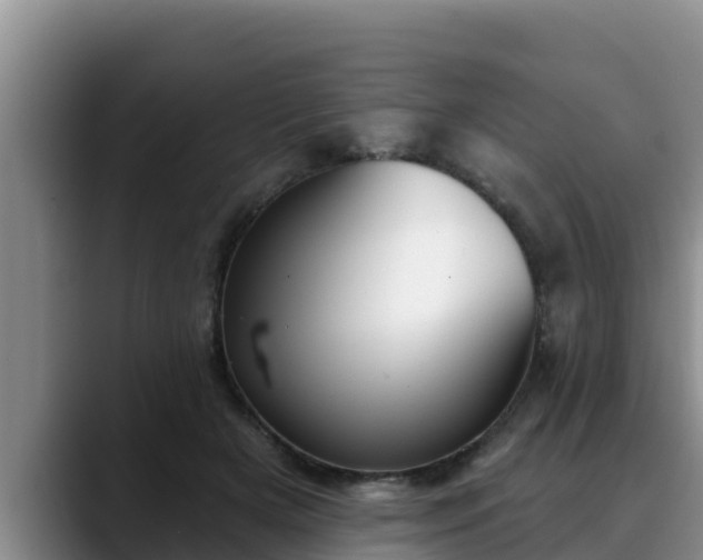 X0000090420505200707201121