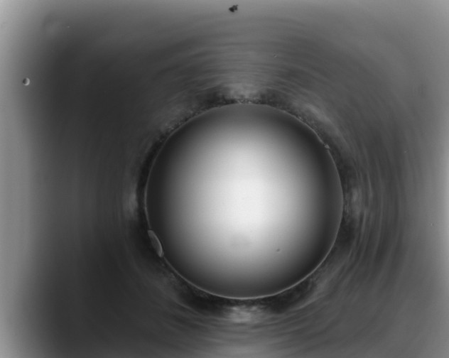 X0000090420508200707201120