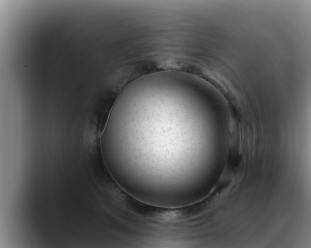 X0000090420513200707201120