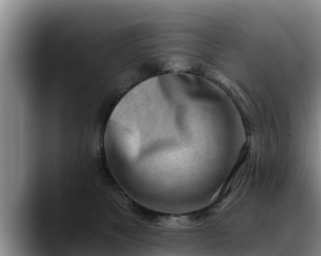 X0000090420517200707201120