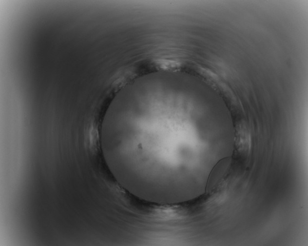 X0000090420523200707201120