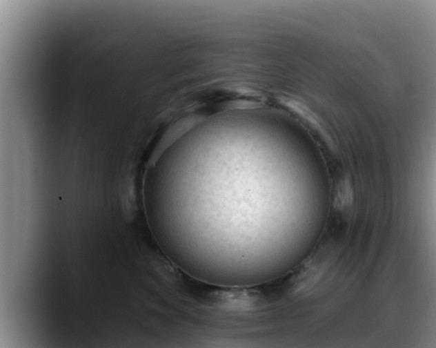 X0000090420524200707201120