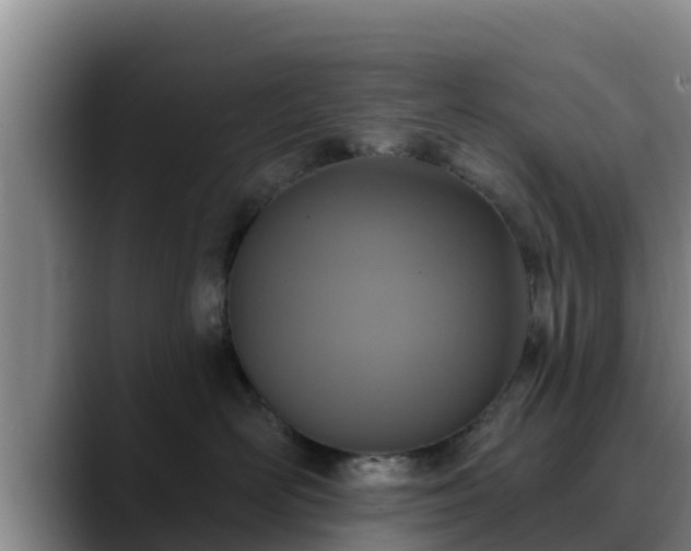 X0000090420526200707201120