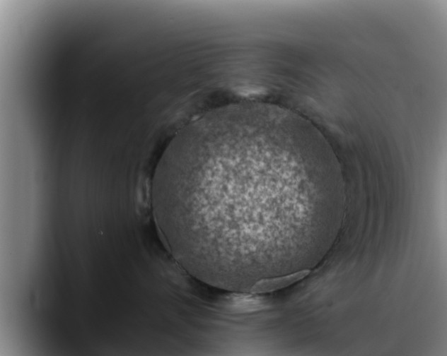 X0000090420528200707201120