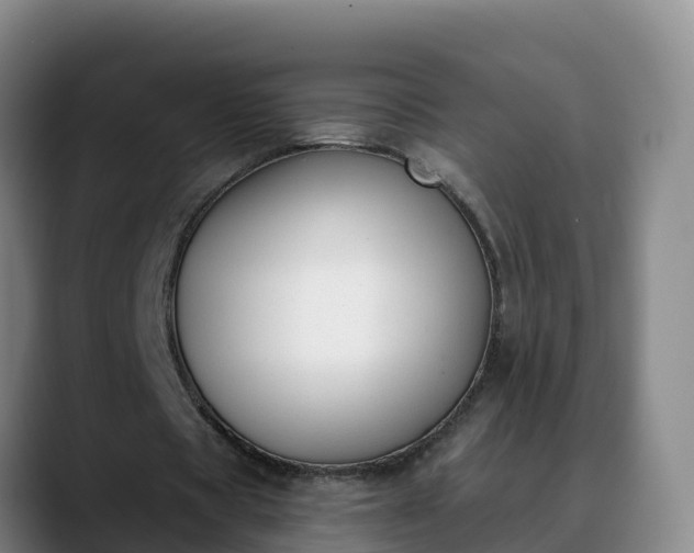 X0000090420529200707201120