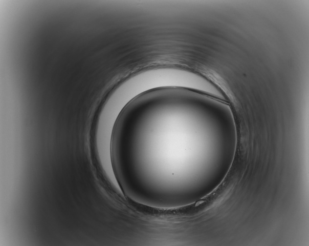 X0000090420530200707201120