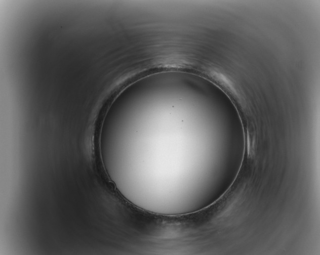 X0000090420531200707201120