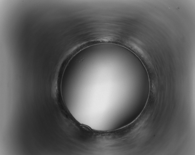 X0000090420532200707201120