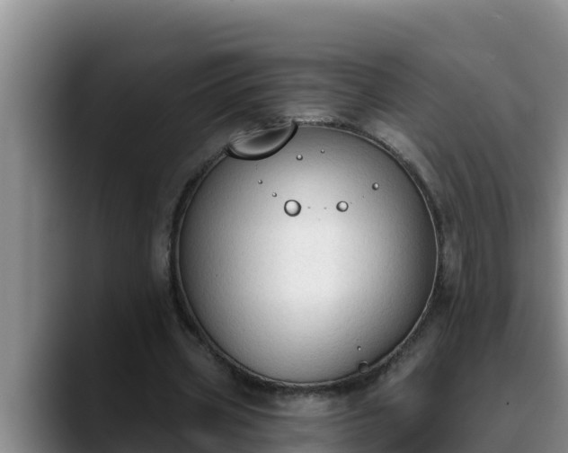 X0000090420533200707201120