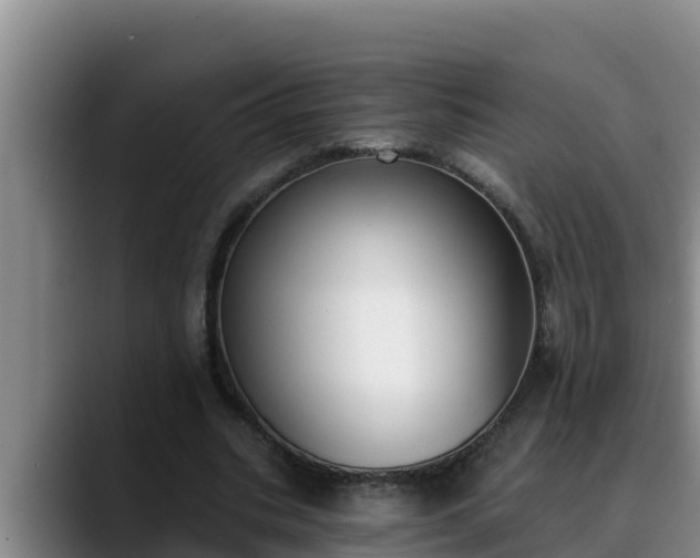 X0000090420535200707201120