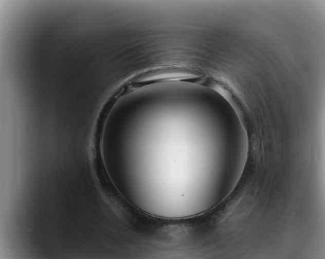 X0000090420536200707201120