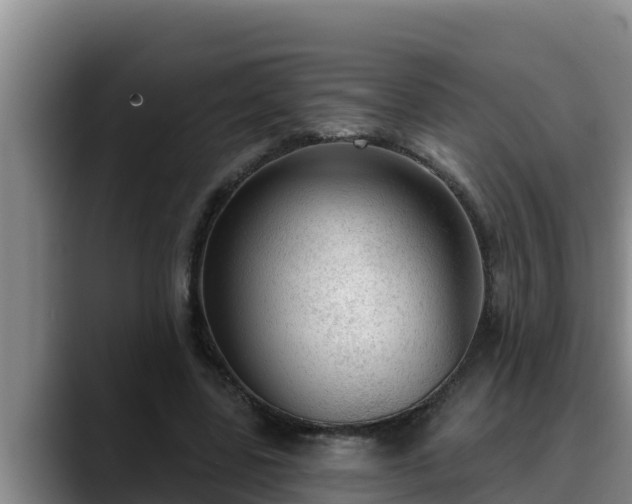 X0000090420539200707201120