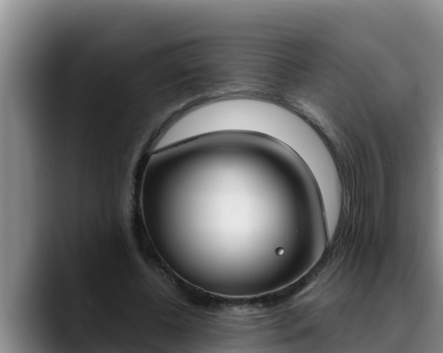 X0000090420540200707201120