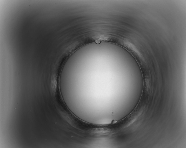 X0000090420541200707201120