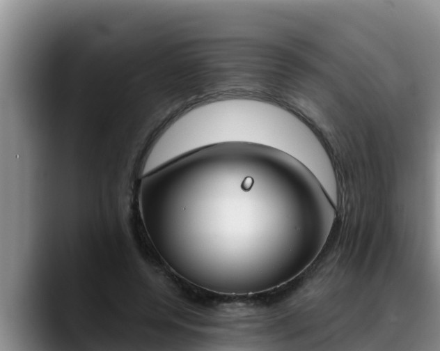 X0000090420544200707201120