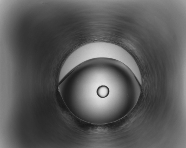 X0000090420546200707201120