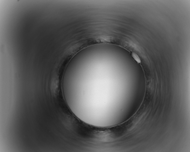 X0000090420548200707201120