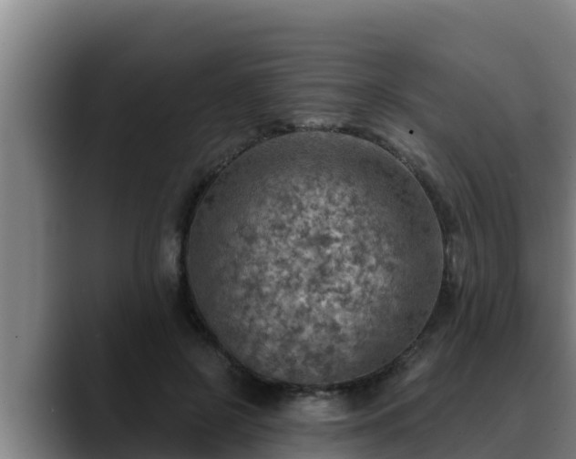 X0000090420550200707201120