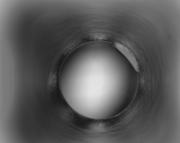 X0000090420551200707201120