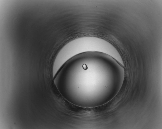 X0000090420552200707201120