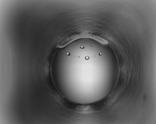 X0000090420554200707201120