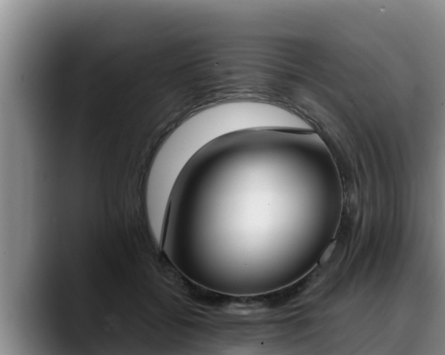 X0000090420556200707201120