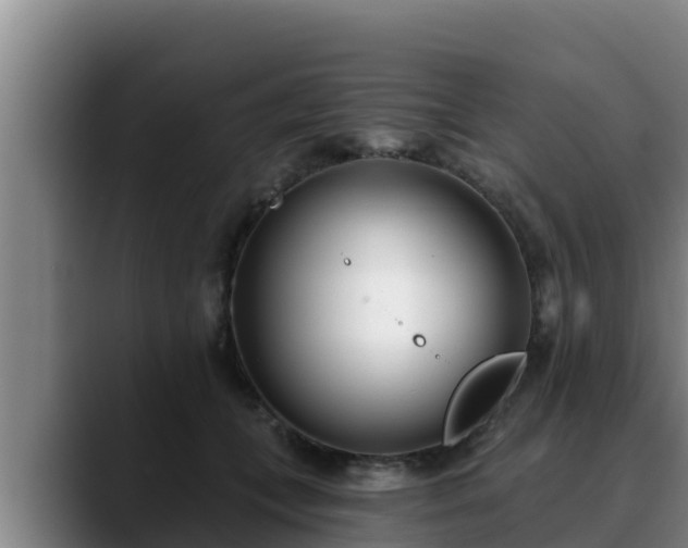 X0000090420559200707201120