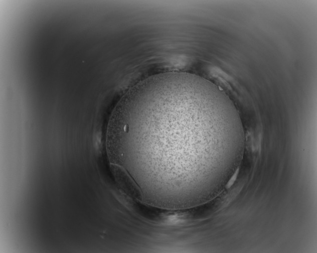 X0000090420564200707201120