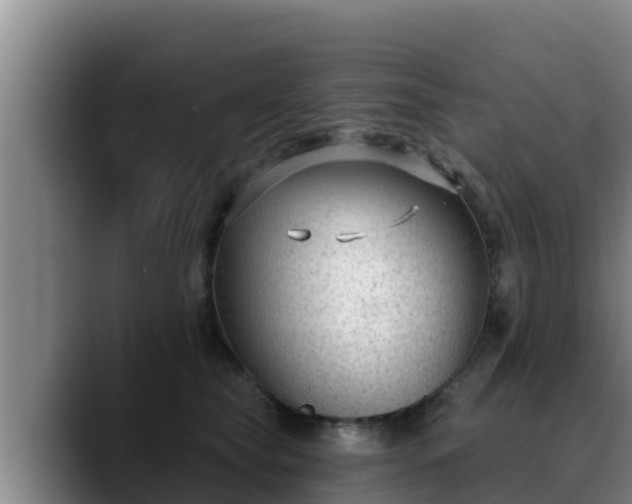 X0000090420565200707201120