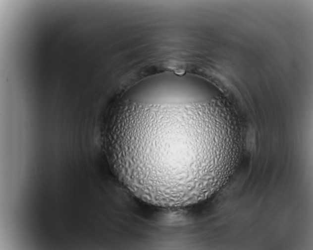 X0000090420569200707201120