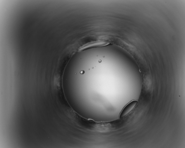 X0000090420571200707201120