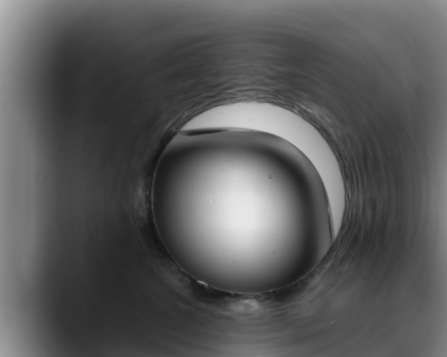 X0000090420572200707201120