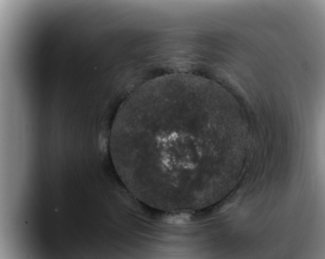 X0000090420576200707201120