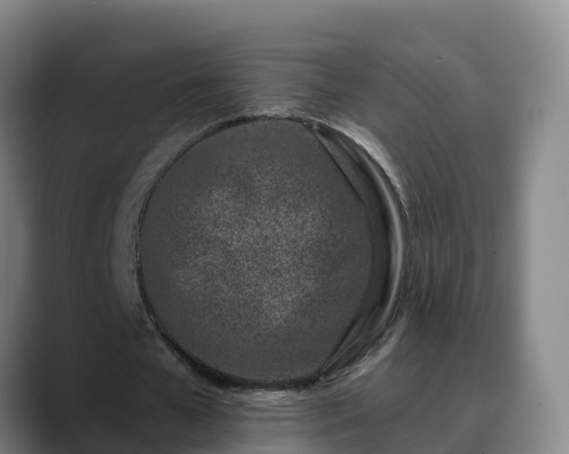 X0000090420577200707201120