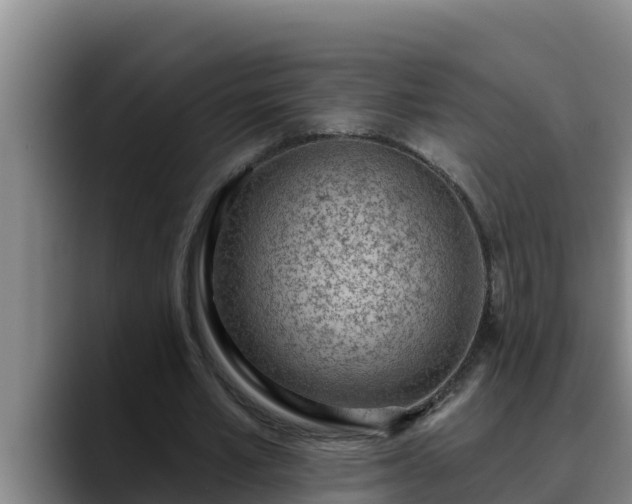 X0000090420581200707201120