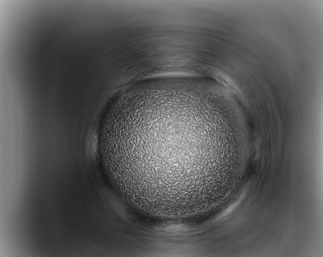 X0000090420589200707201120